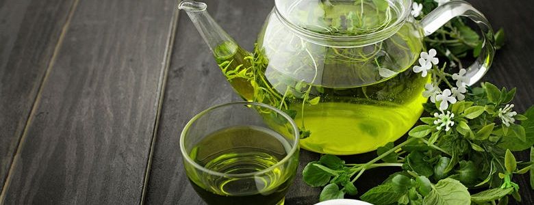 Почему нужно пить зеленый чай?
