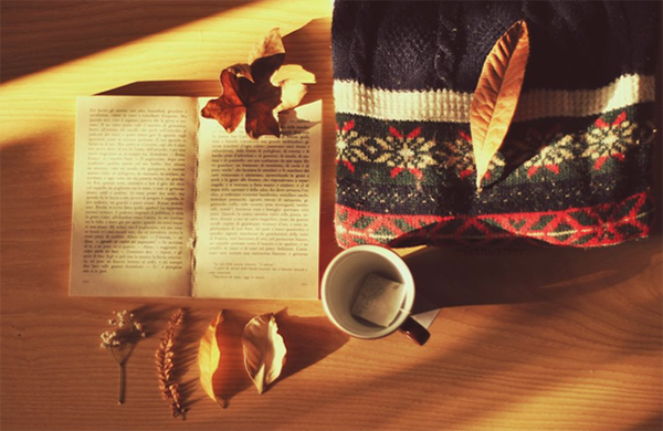 autumn-book-cozy-sweater-Favim.com-2069523